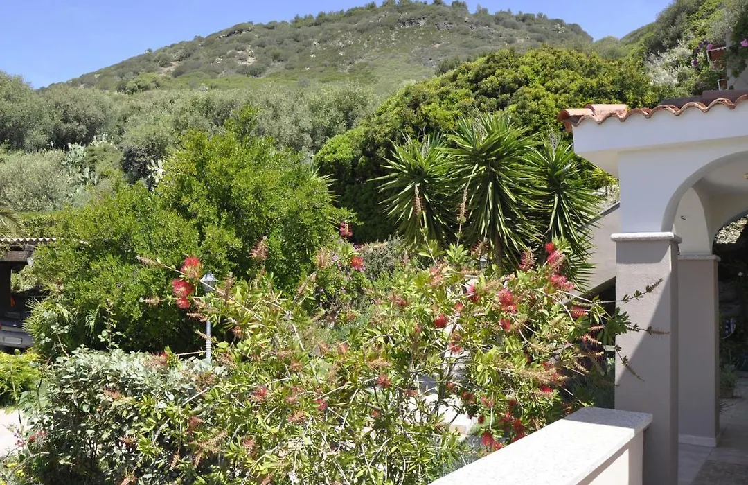 Bed & Breakfast Ajo A Casa-1